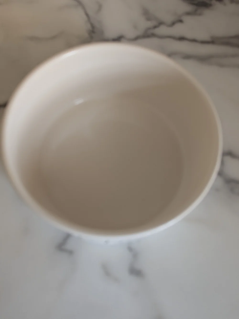 Rae Dunn Ceramic Dog Bowl